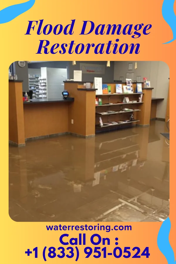 Flood Damage Restoration in Dover, NC